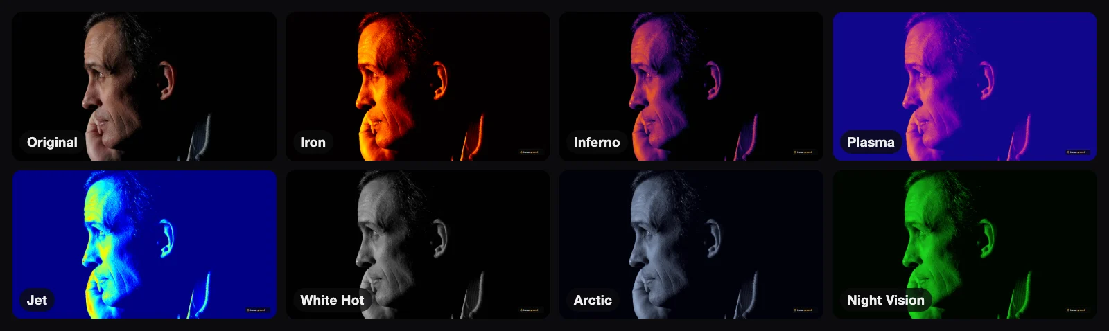 A grid of eight versions of the same low-key portrait of a man in profile: the original, then Iron in red and yellow, Inferno in purple and orange, Plasma in blue and magenta, Jet in blue, cyan and yellow, White Hot in greyscale, Arctic in cool grey-blue, and Night Vision in green.